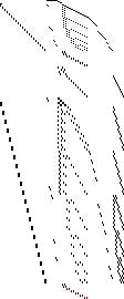 Sparsity of Objective Gradient and Jacobian