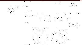 Sparsity of Objective Gradient and Jacobian