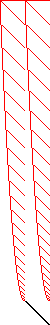 Sparsity of Objective Gradient and Jacobian