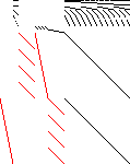 Sparsity of Objective Gradient and Jacobian