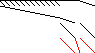 Sparsity of Objective Gradient and Jacobian