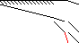 Sparsity of Objective Gradient and Jacobian